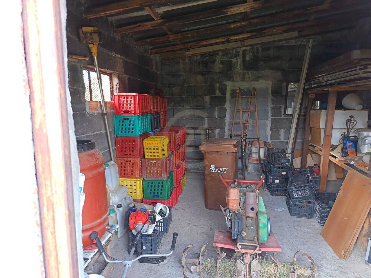 immagine annuncio 10 di 11