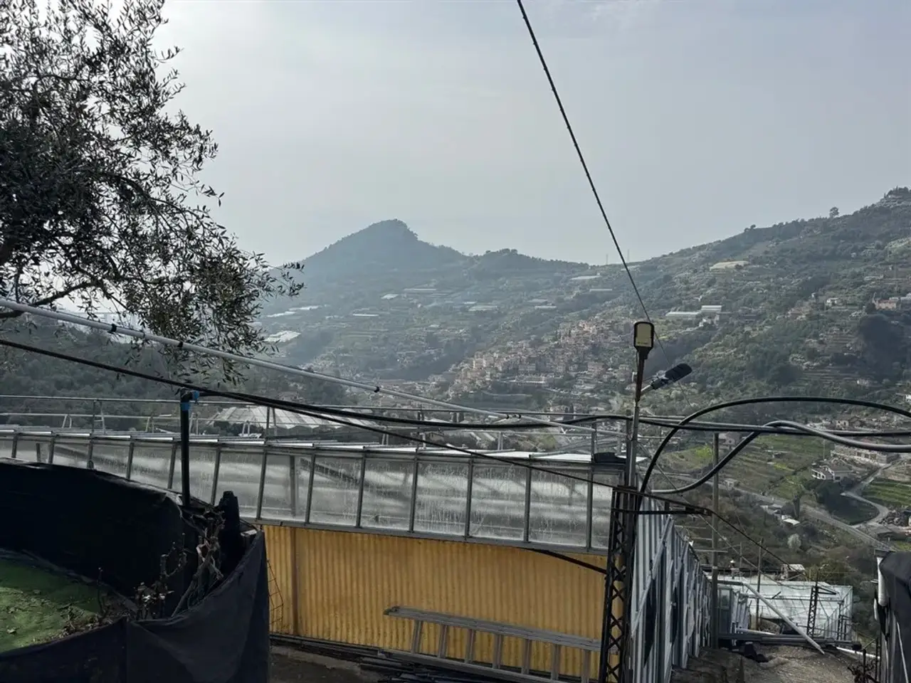 Azienda in Via Roma, San Biagio Della Cima, {3} - Foto 2