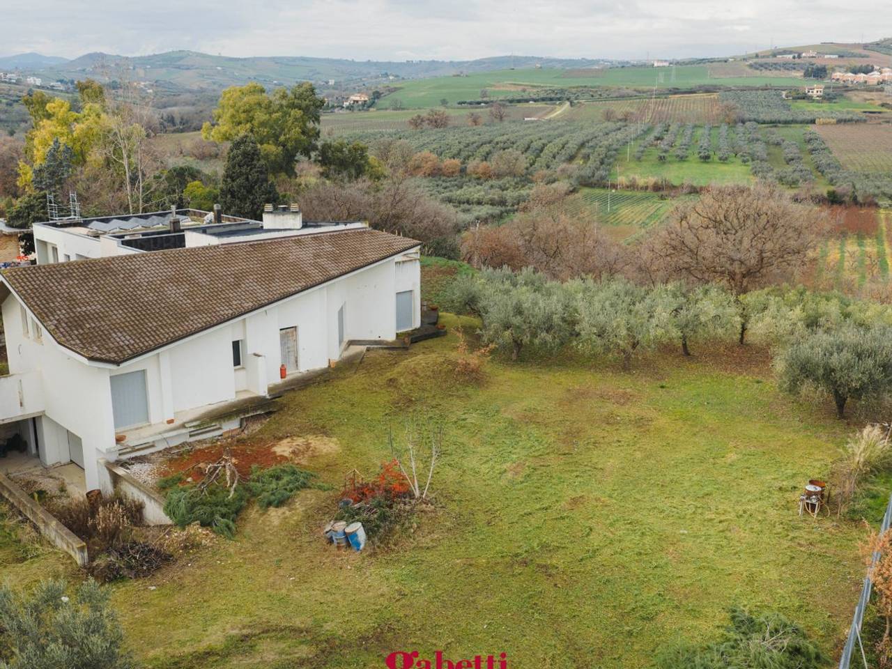 immagine annuncio 1 di 11