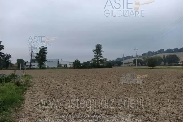 insertion image