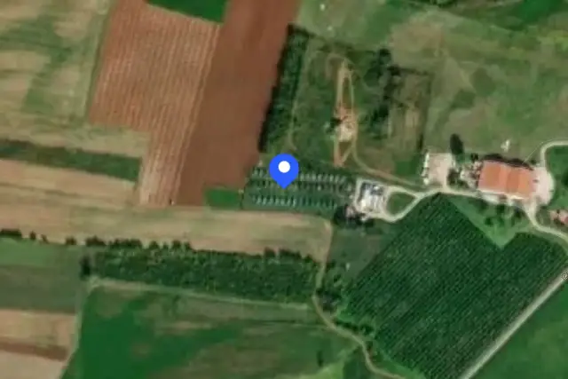 insertion image