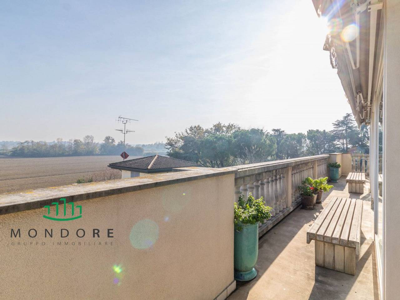 immagine annuncio 9 di 14