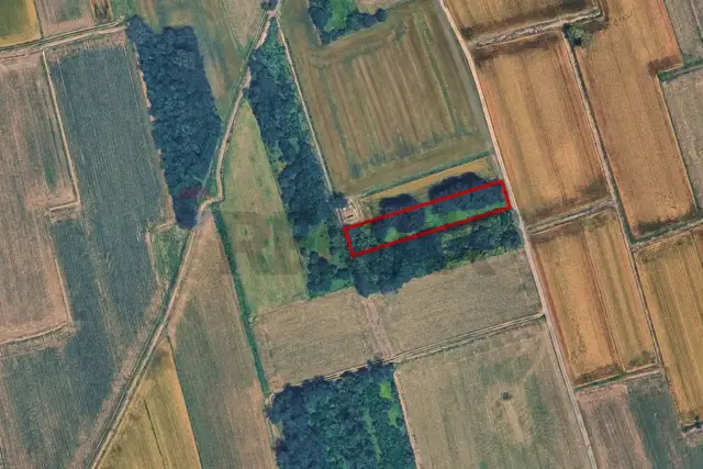 insertion image