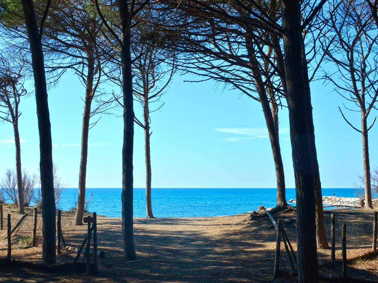 immagine annuncio 4 di 7