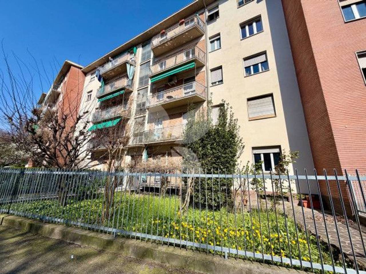 immagine annuncio 10 di 11