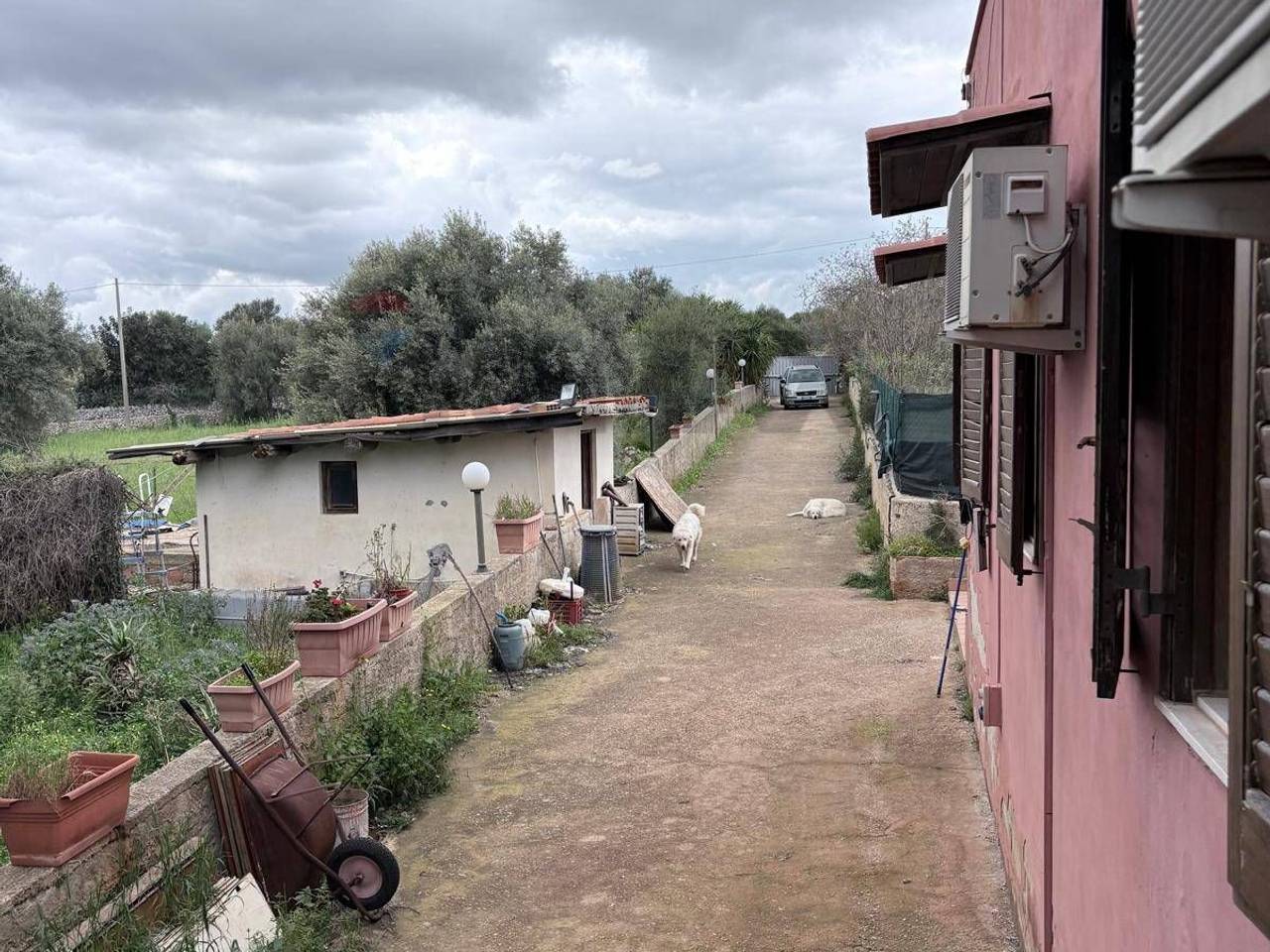 immagine annuncio 4 di 15