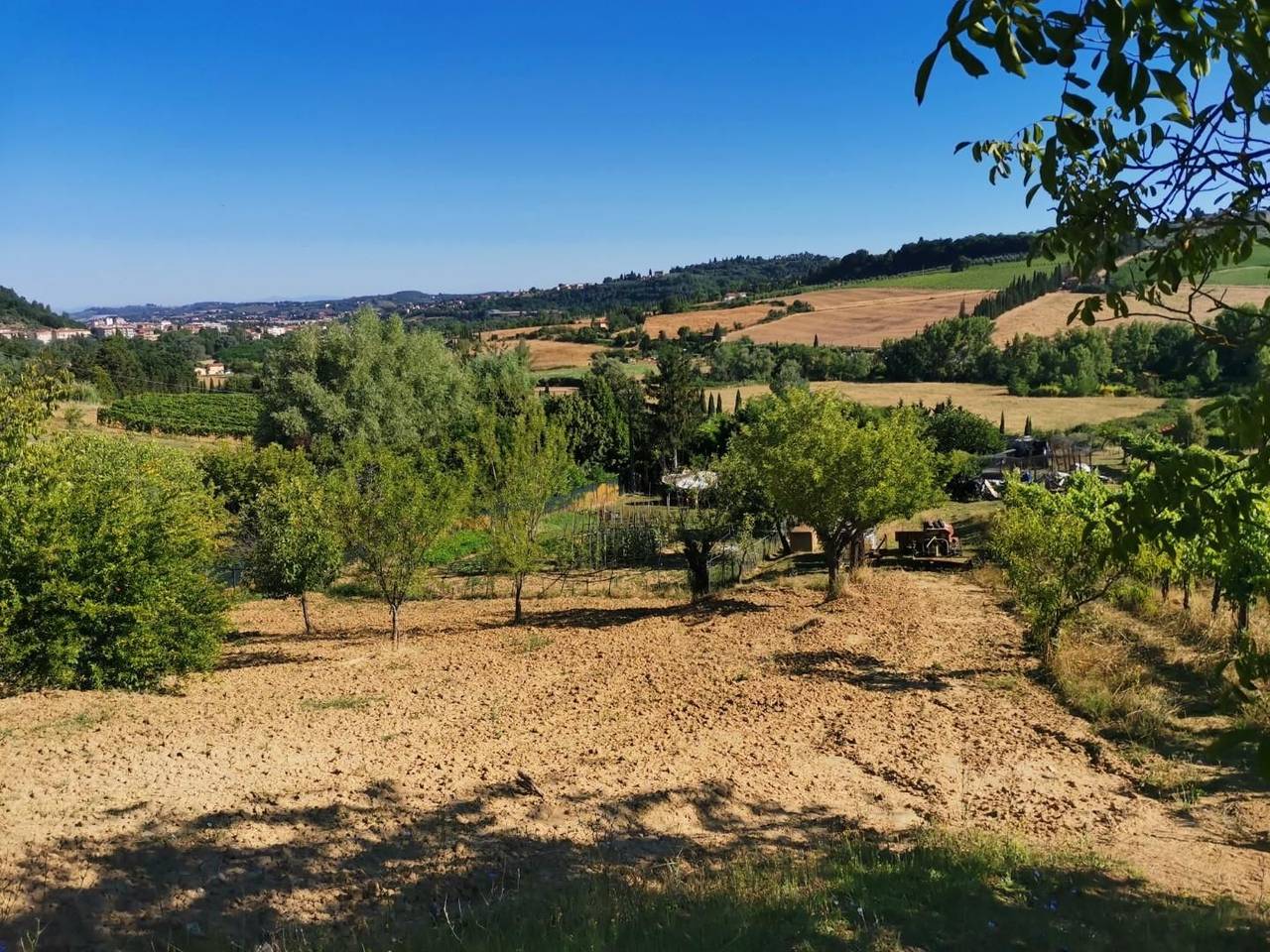 immagine annuncio 8 di 14