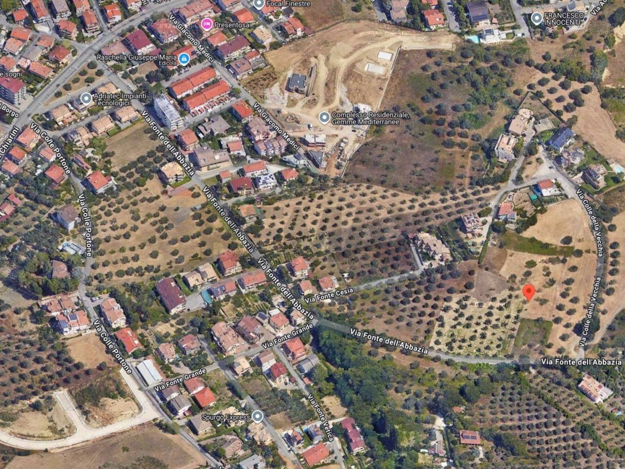 immagine annuncio 9 di 10