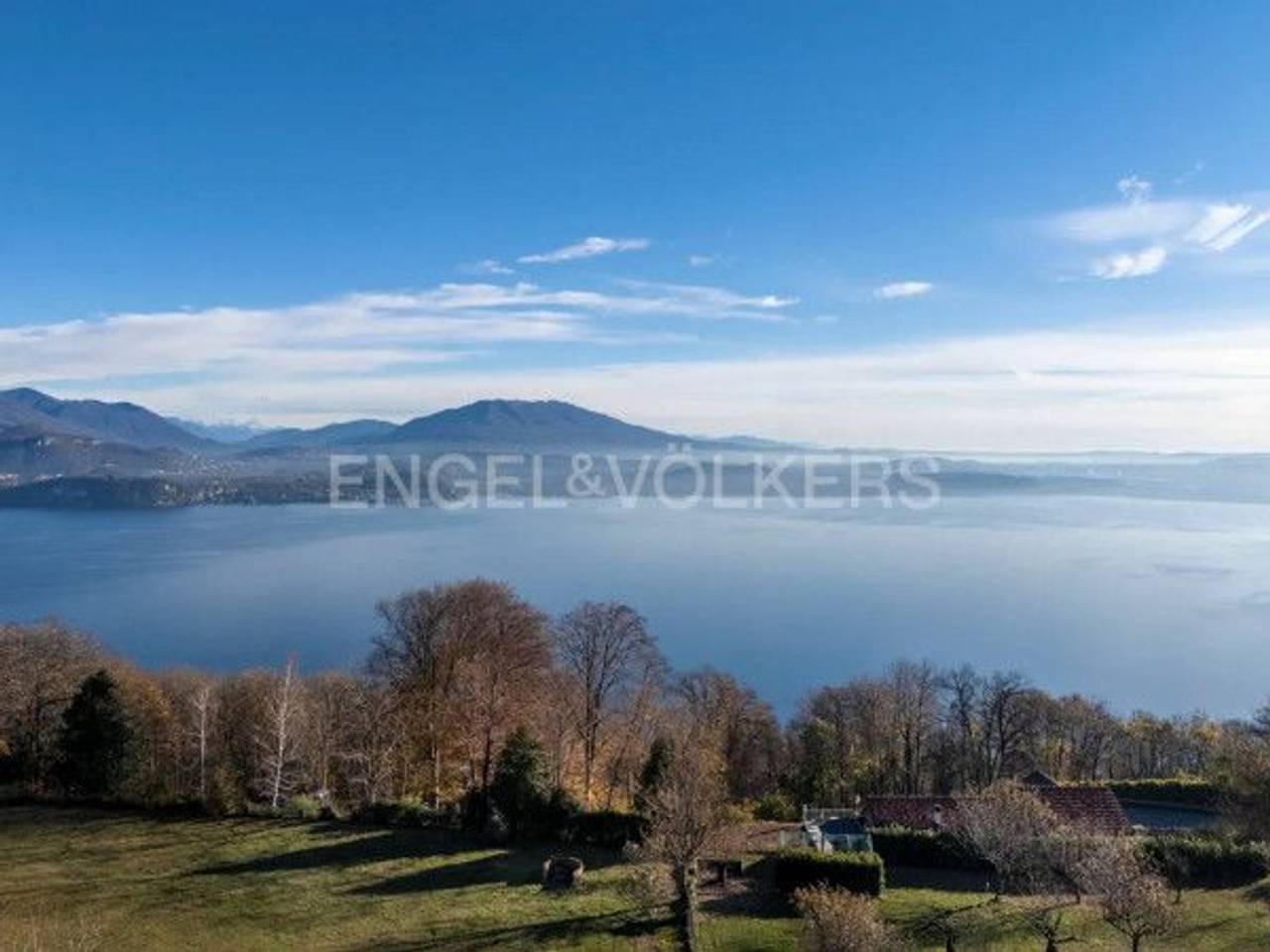 immagine annuncio 2 di 11