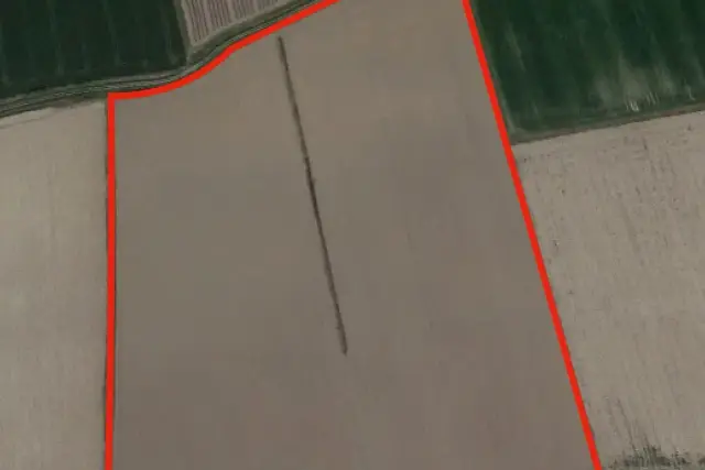 insertion image