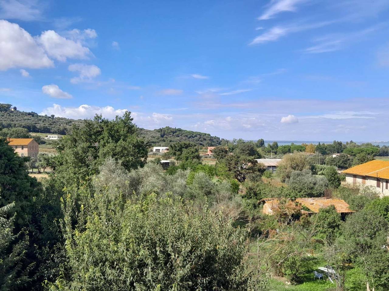 immagine annuncio 8 di 14