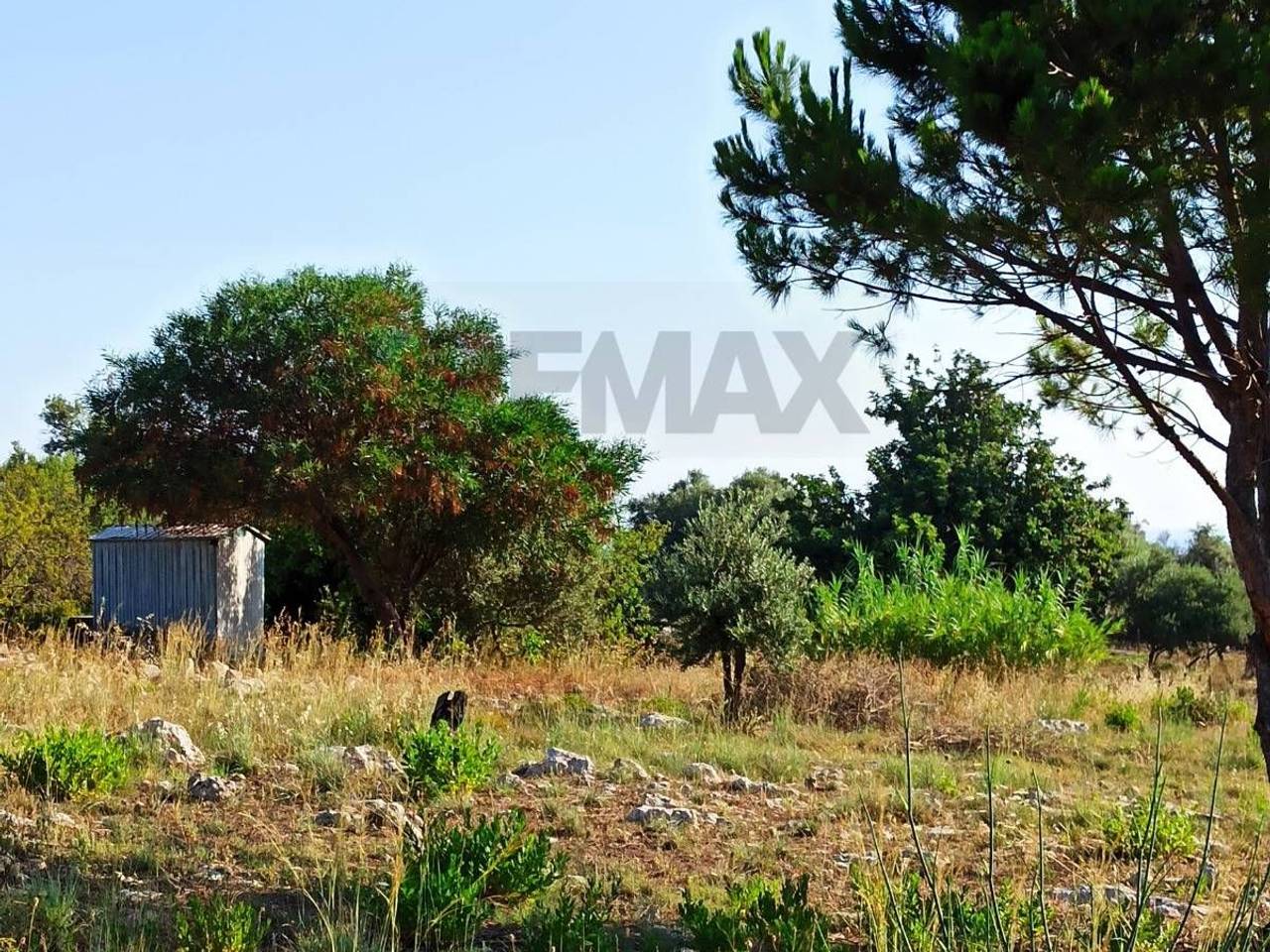 immagine annuncio 8 di 12