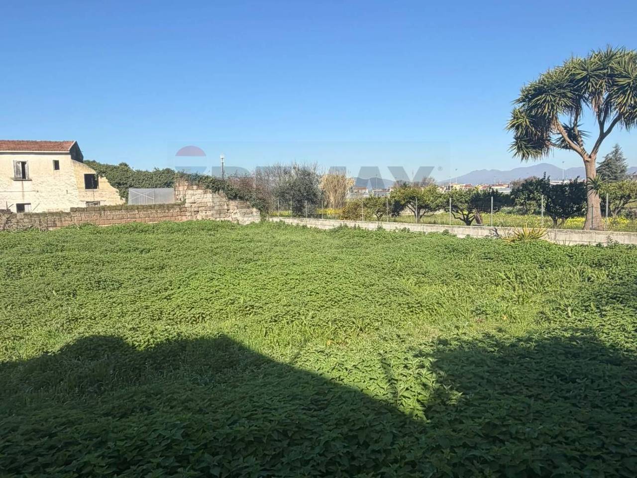 immagine annuncio 4 di 13