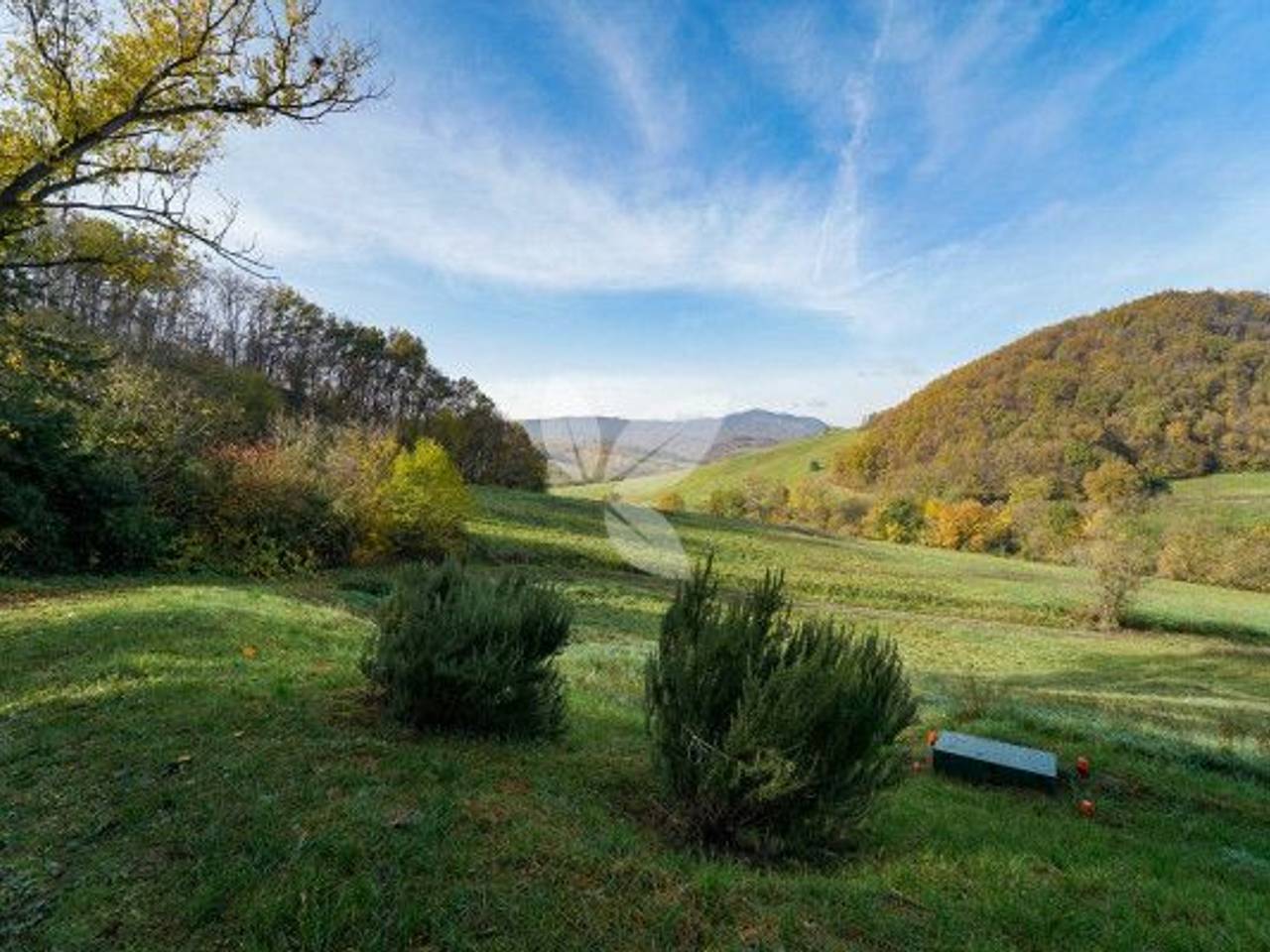 immagine annuncio 13 di 14