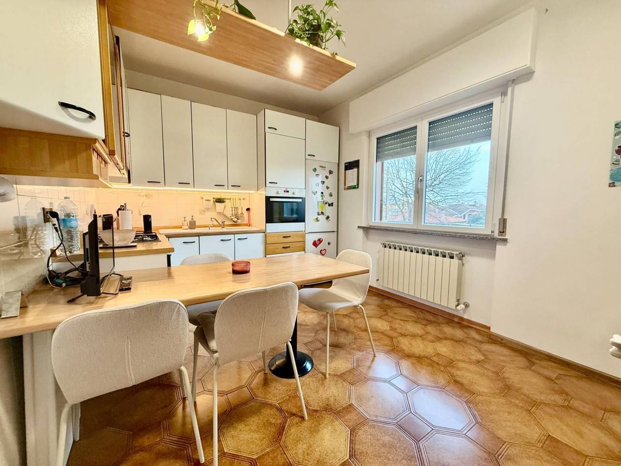 immagine annuncio 5 di 12