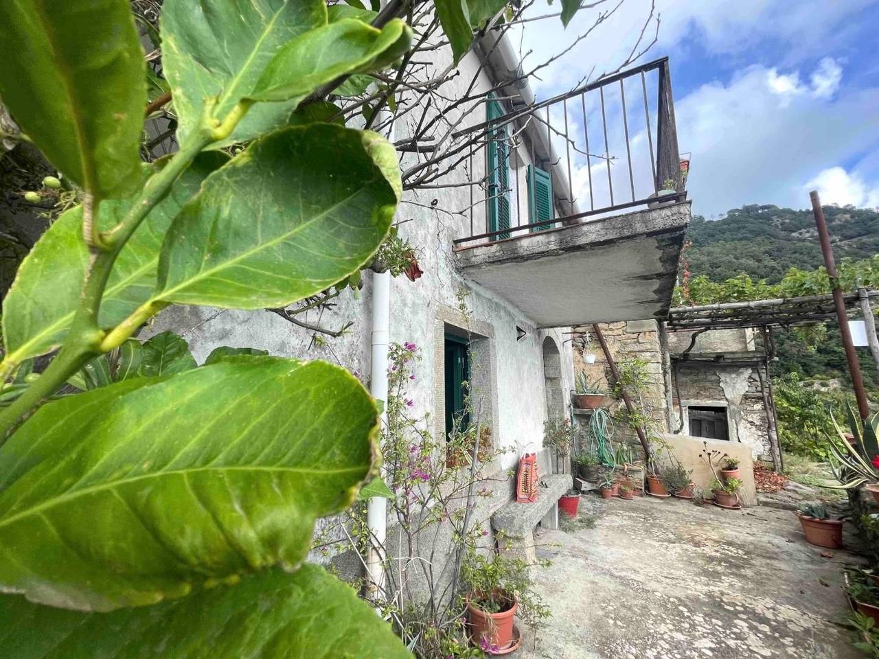 immagine annuncio 13 di 15