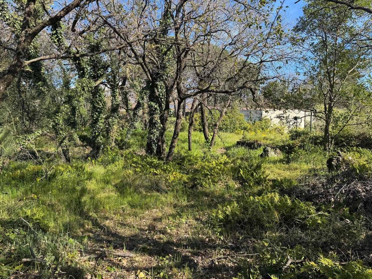 immagine annuncio 9 di 11