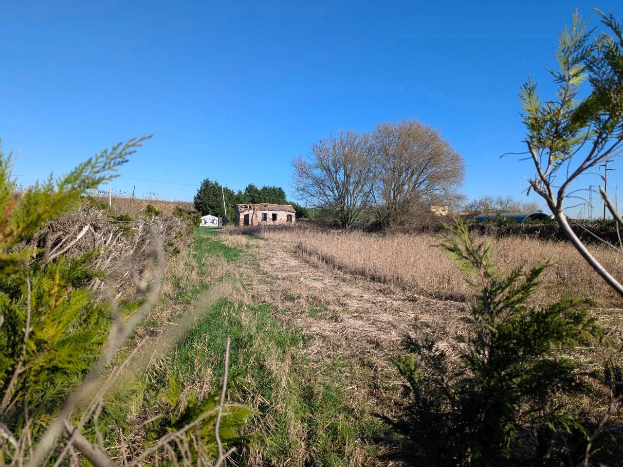 immagine annuncio 7 di 11