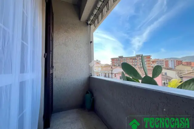 insertion image