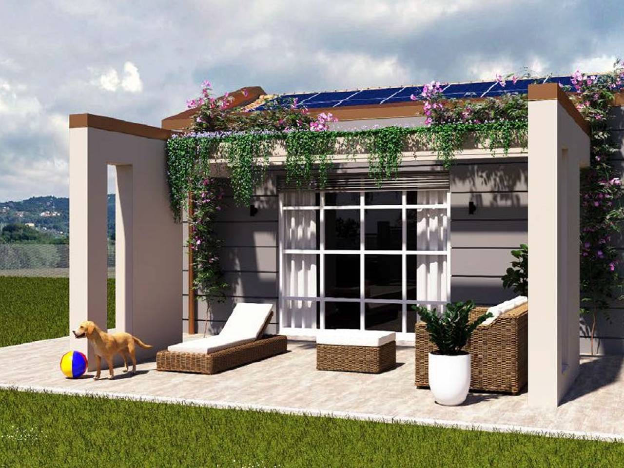 immagine annuncio 3 di 15