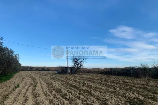 Terreno agricolo, San Benedetto del Tronto - Foto 1