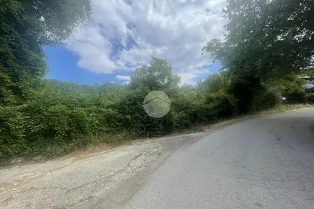 insertion image