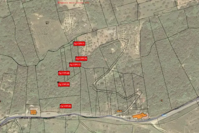 insertion image