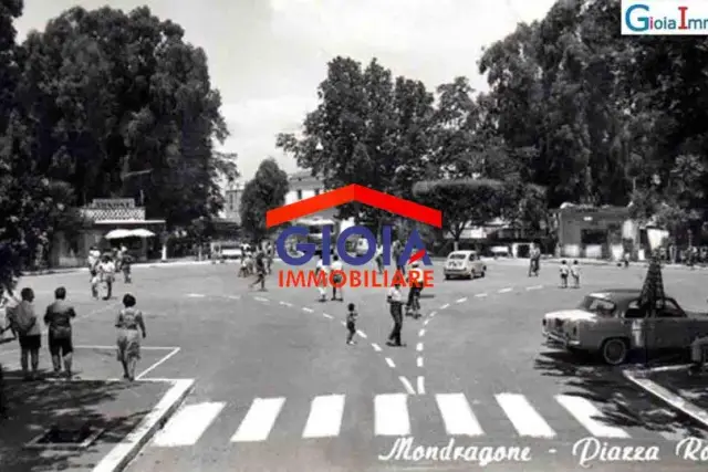 insertion image