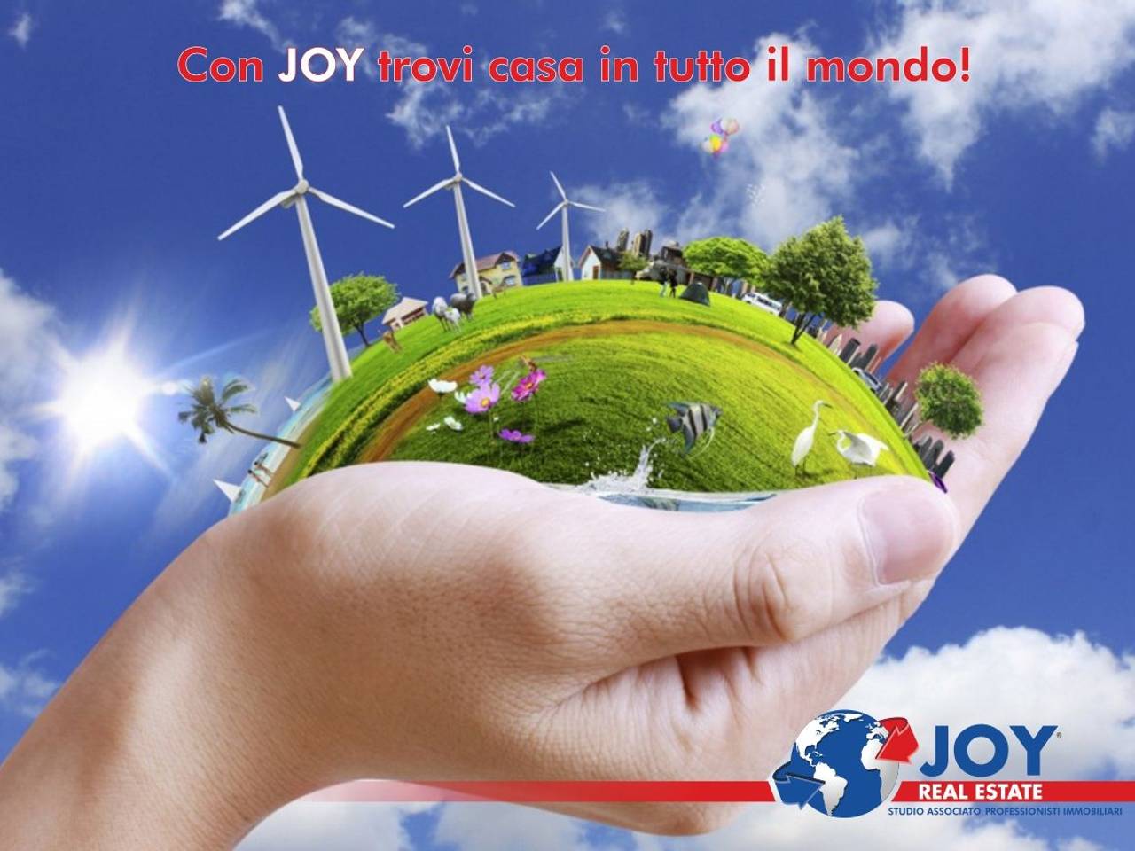 immagine annuncio 6 di 14