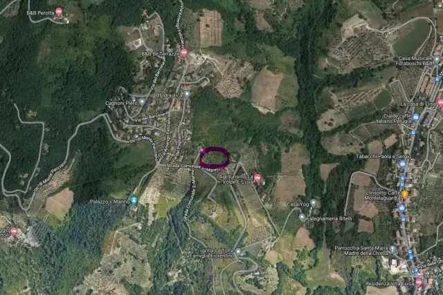 insertion image