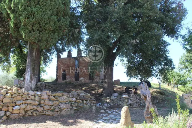 Rustico, San Gimignano - Foto 1