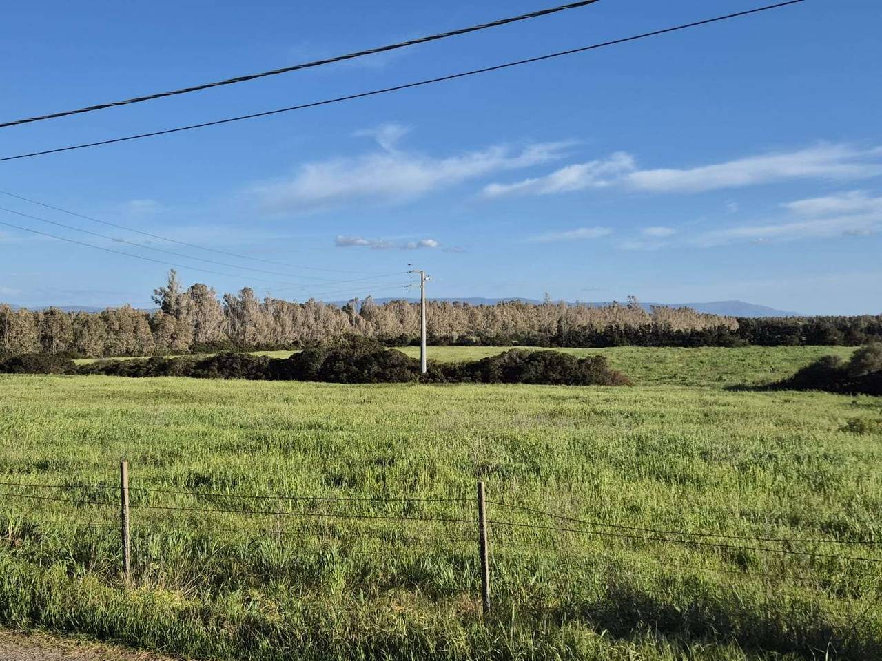 immagine annuncio 5 di 14