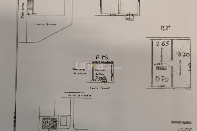 insertion image