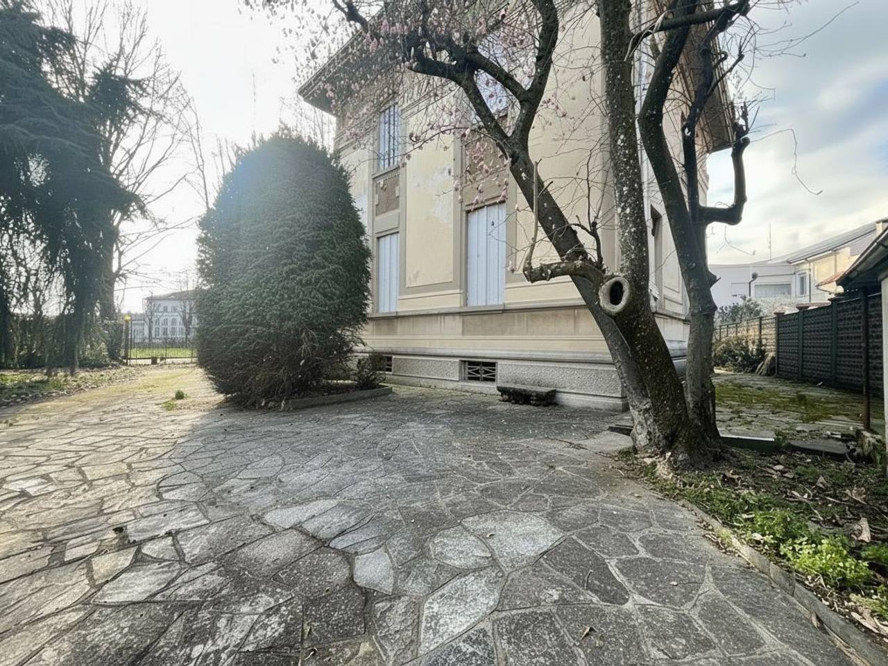 immagine annuncio 3 di 6