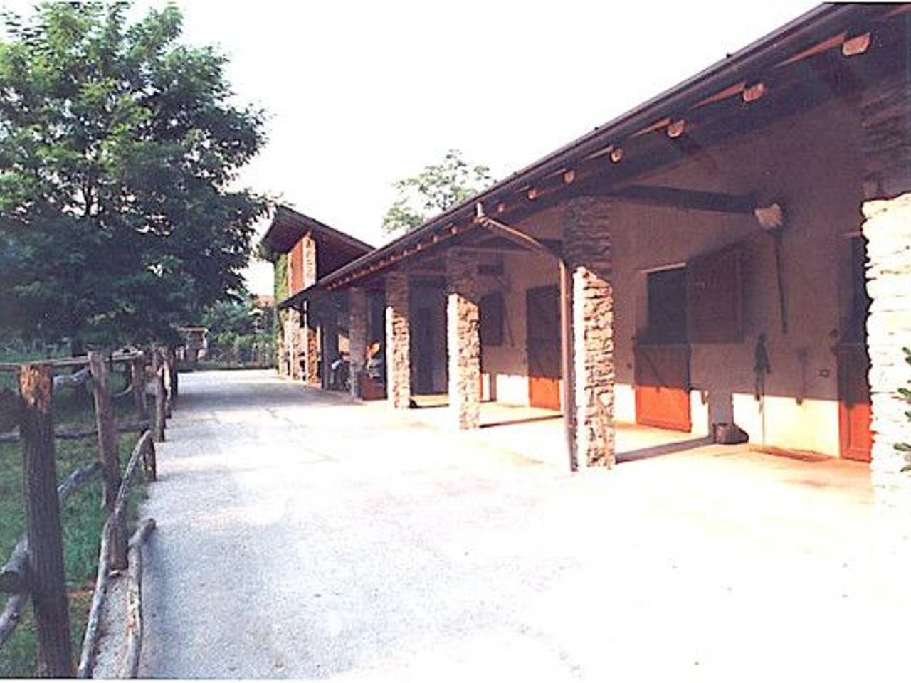 immagine annuncio 11 di 15