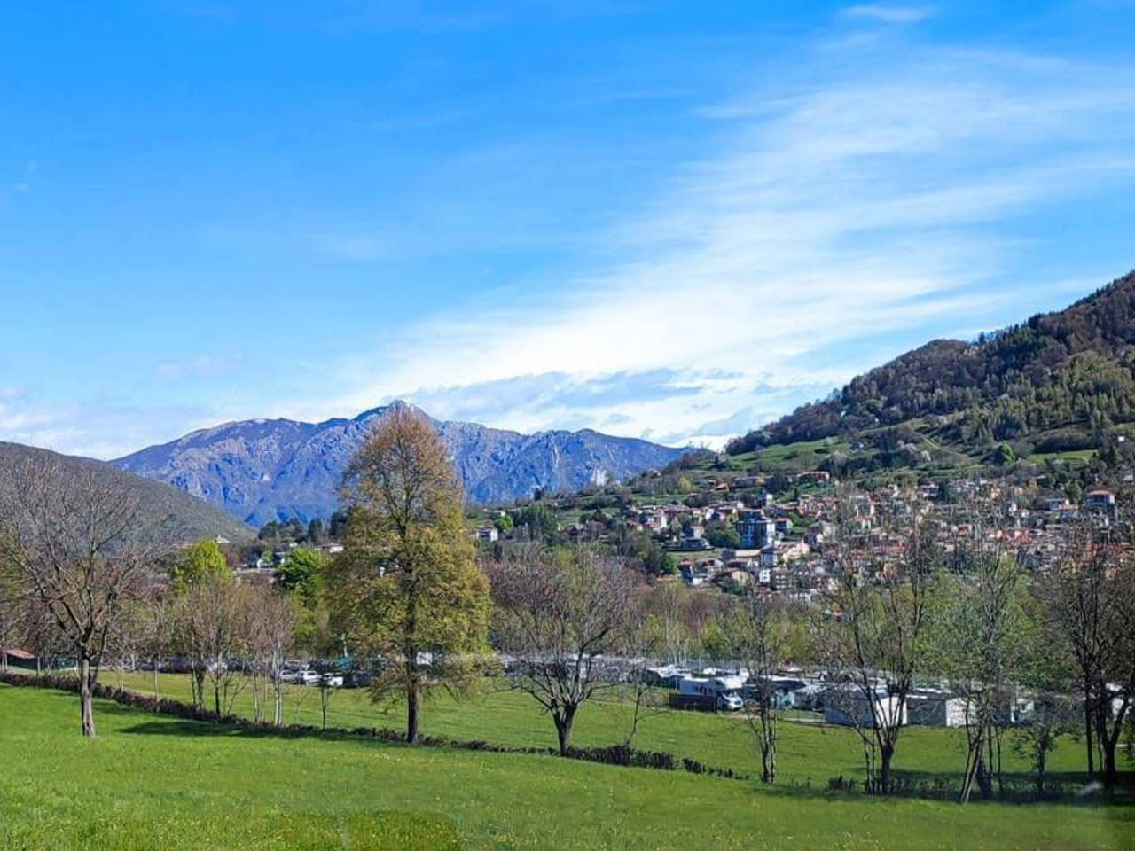 immagine annuncio 6 di 14