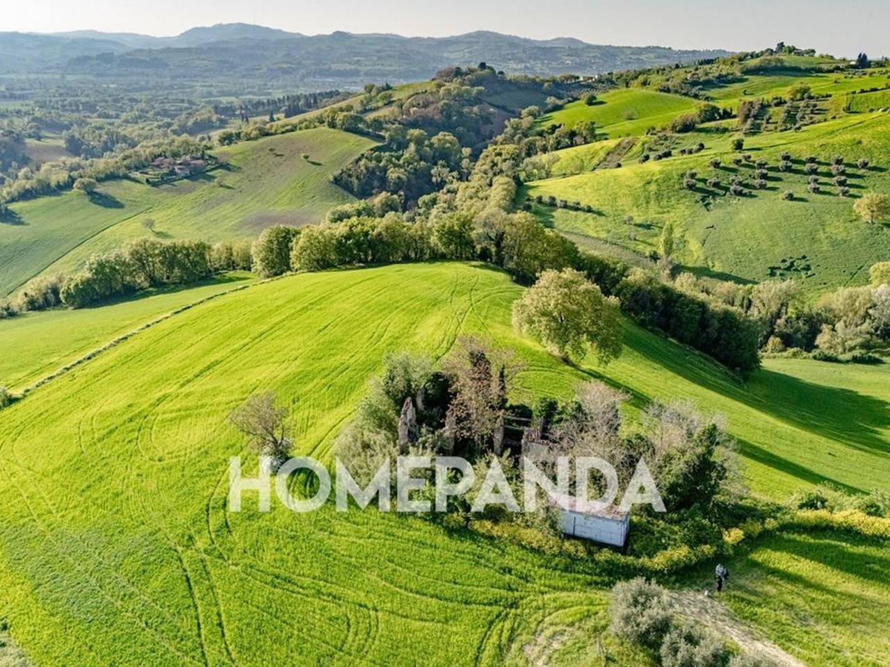 immagine annuncio 6 di 13