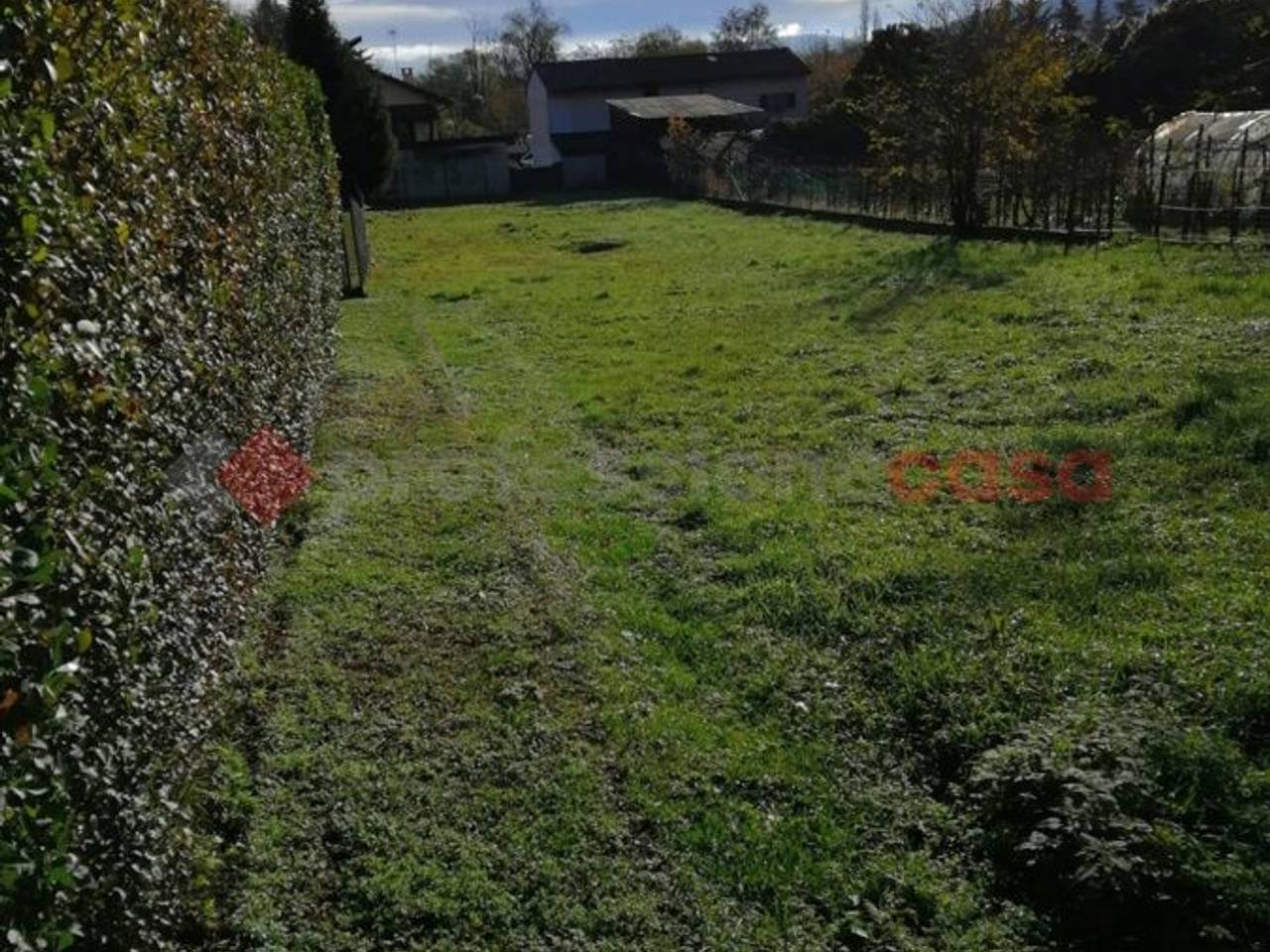 immagine annuncio 3 di 13