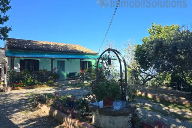 insertion image