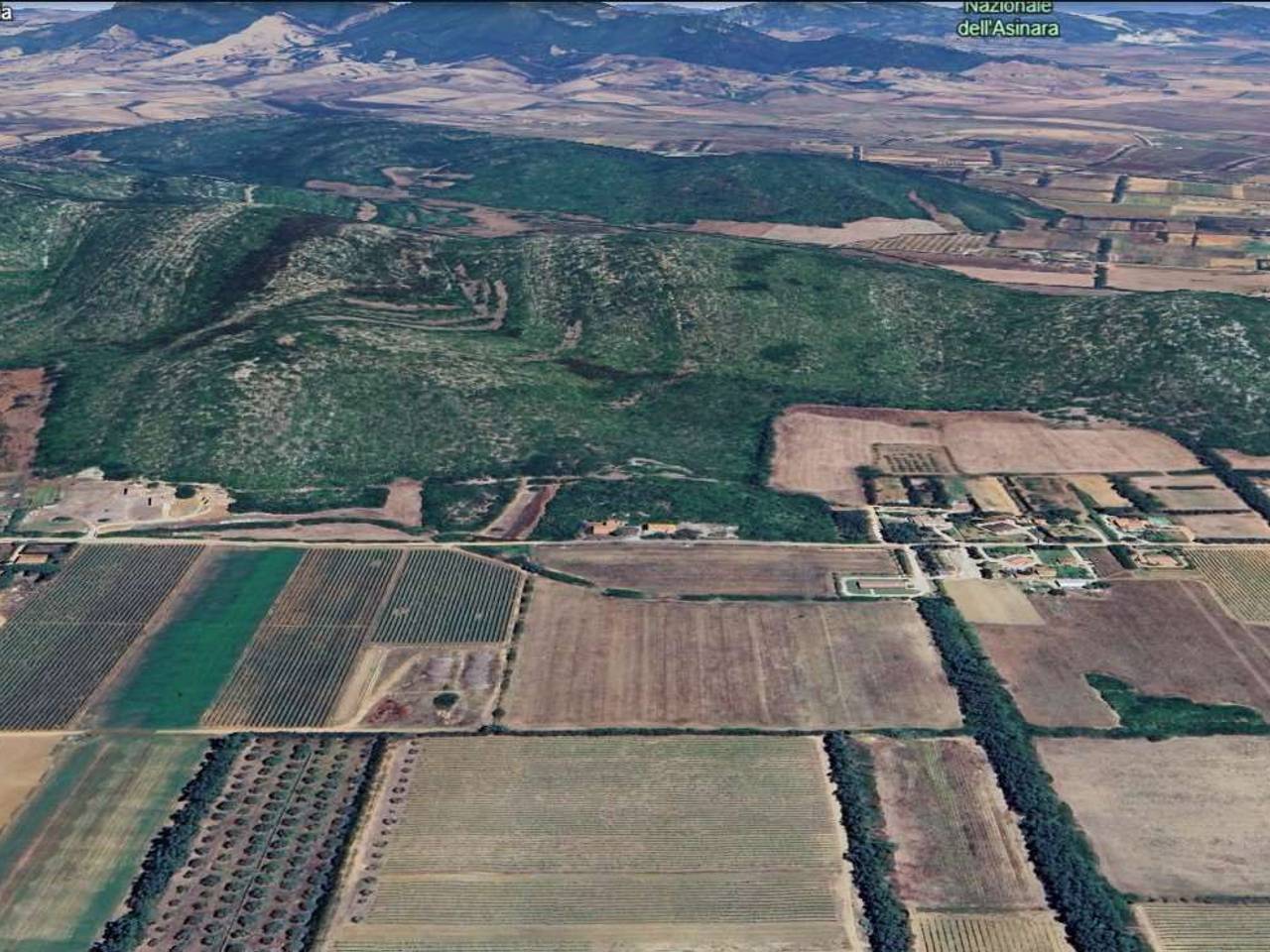 immagine annuncio 11 di 14