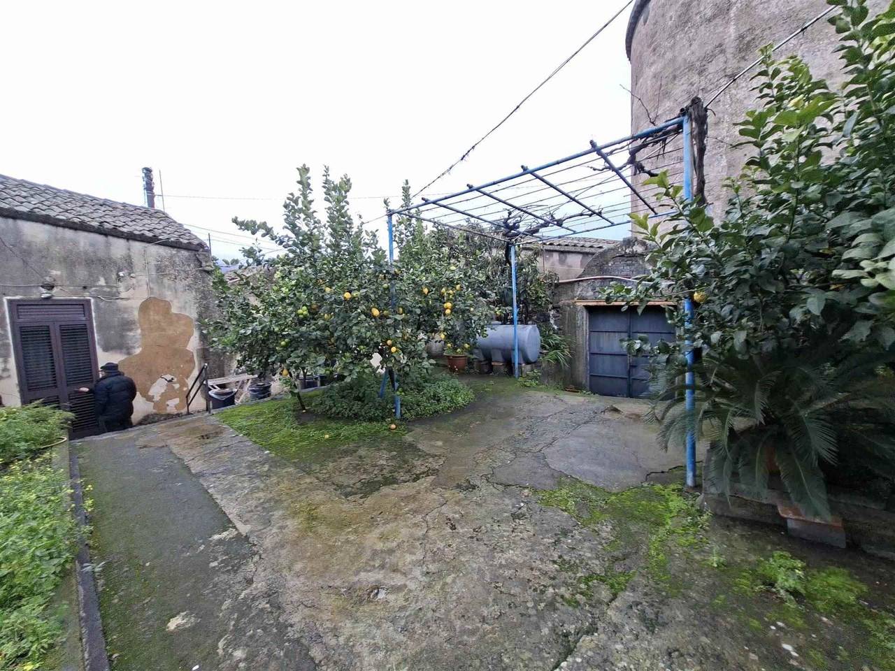 immagine annuncio 8 di 15