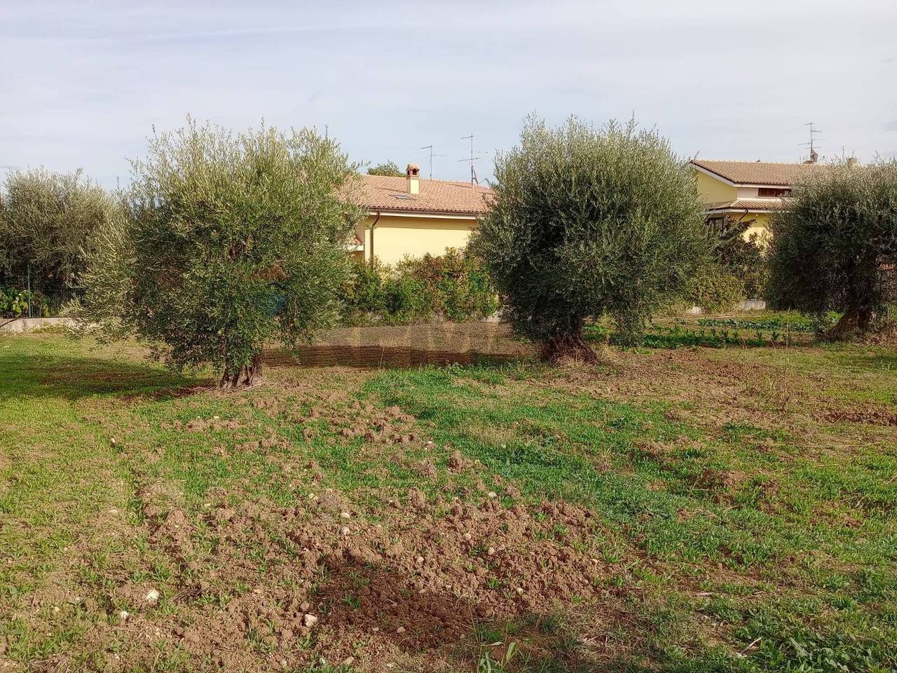 immagine annuncio 5 di 7