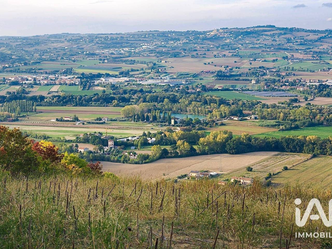 immagine annuncio 2 di 8