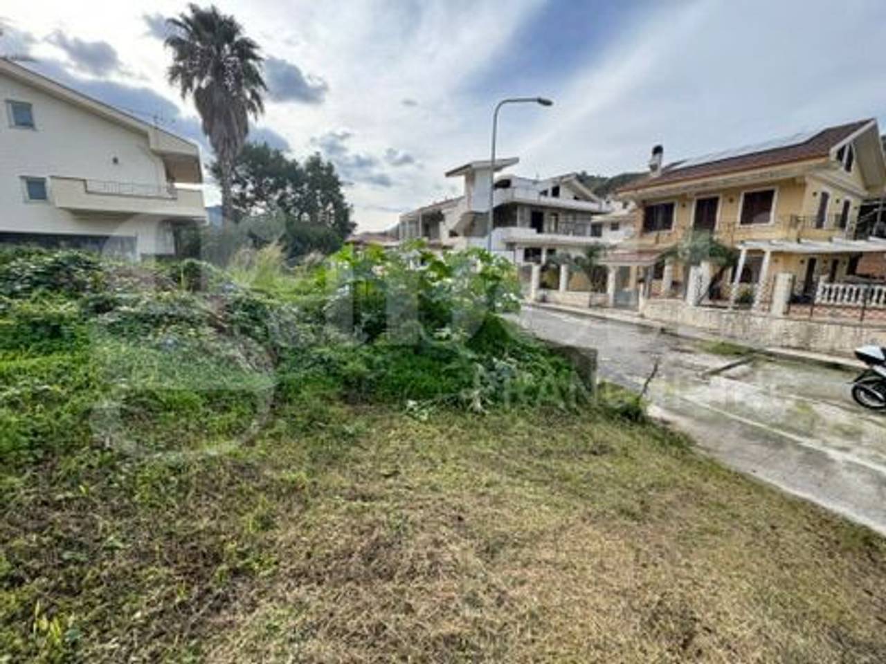 immagine annuncio 1 di 6