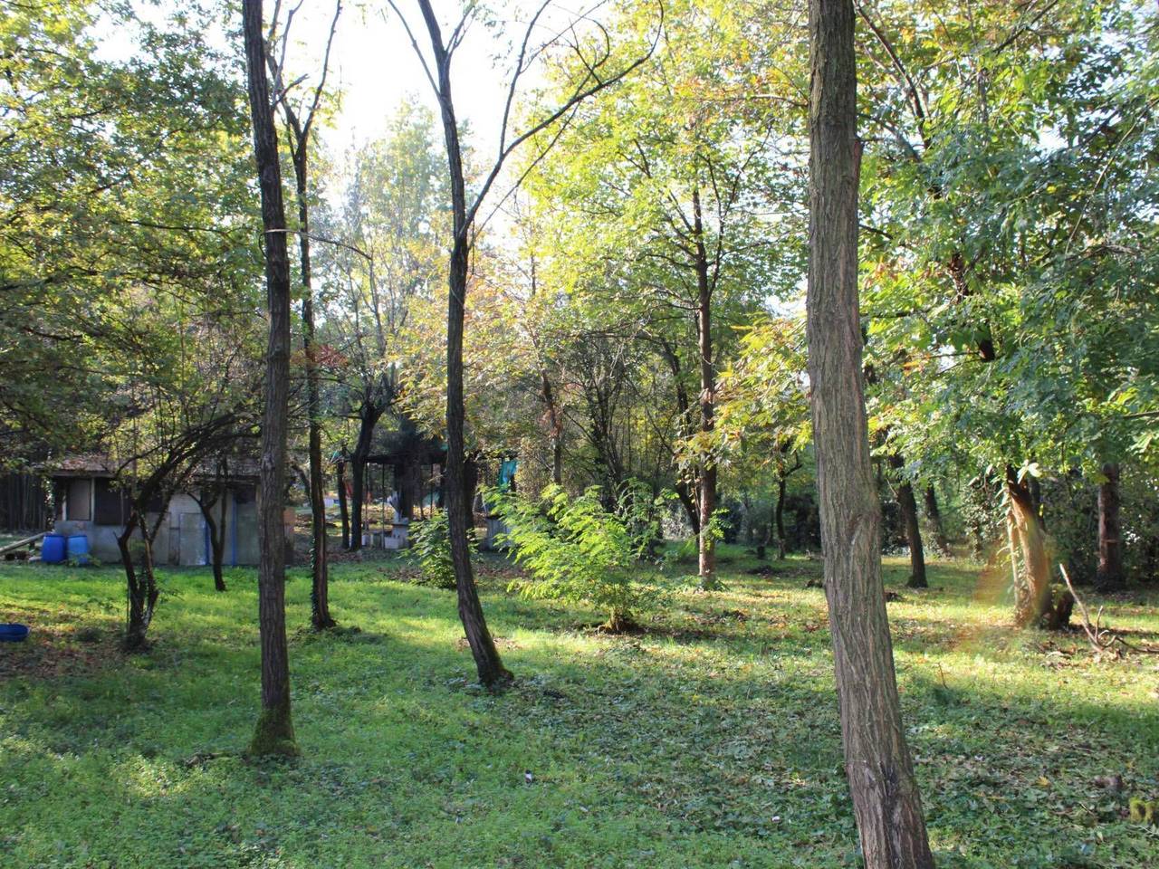 immagine annuncio 7 di 14