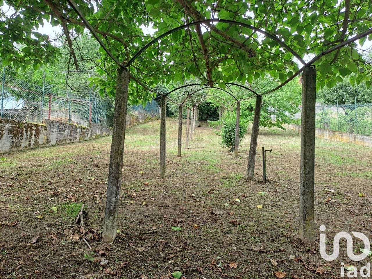 immagine annuncio 11 di 15