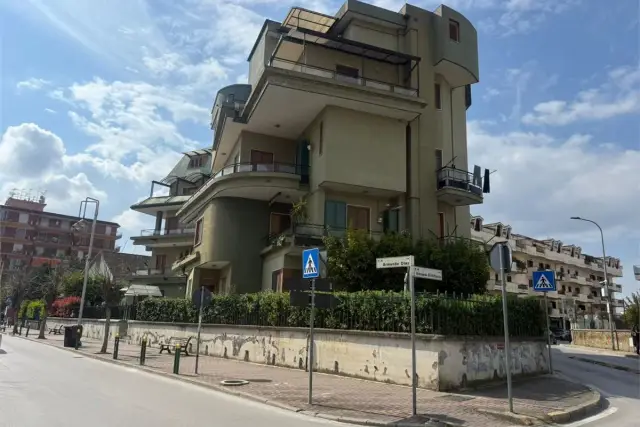 insertion image