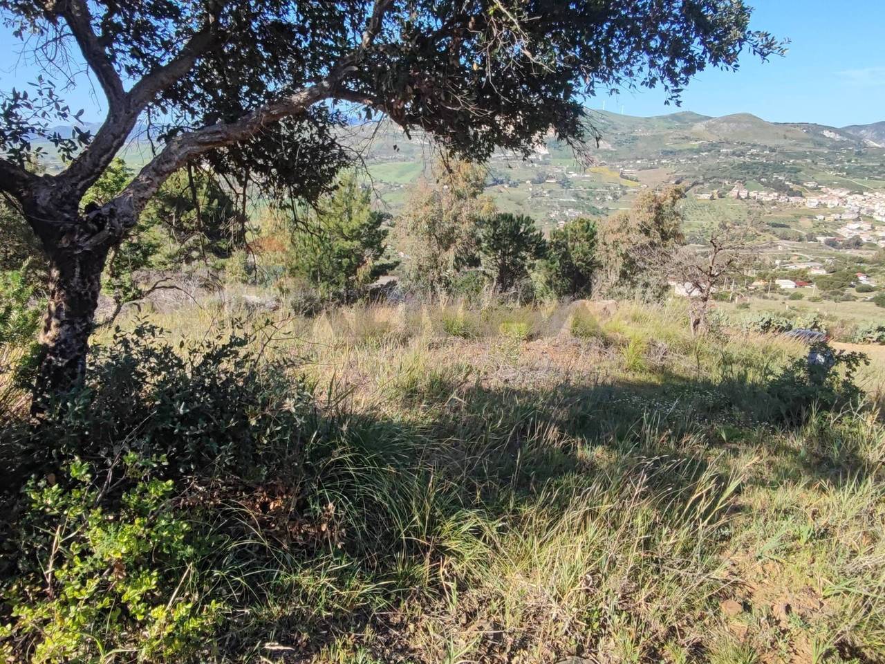 immagine annuncio 3 di 7