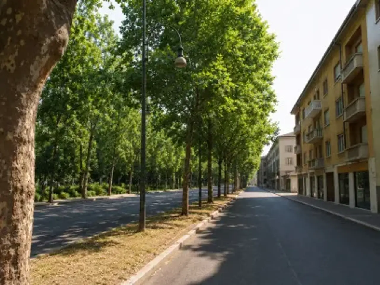 Negozio in , Torino, {3} - Foto 1