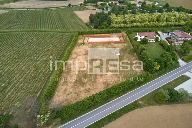 insertion image